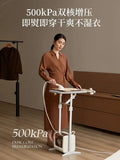 Load image into Gallery viewer, Bear Household Double-pole Garment Iron Steam